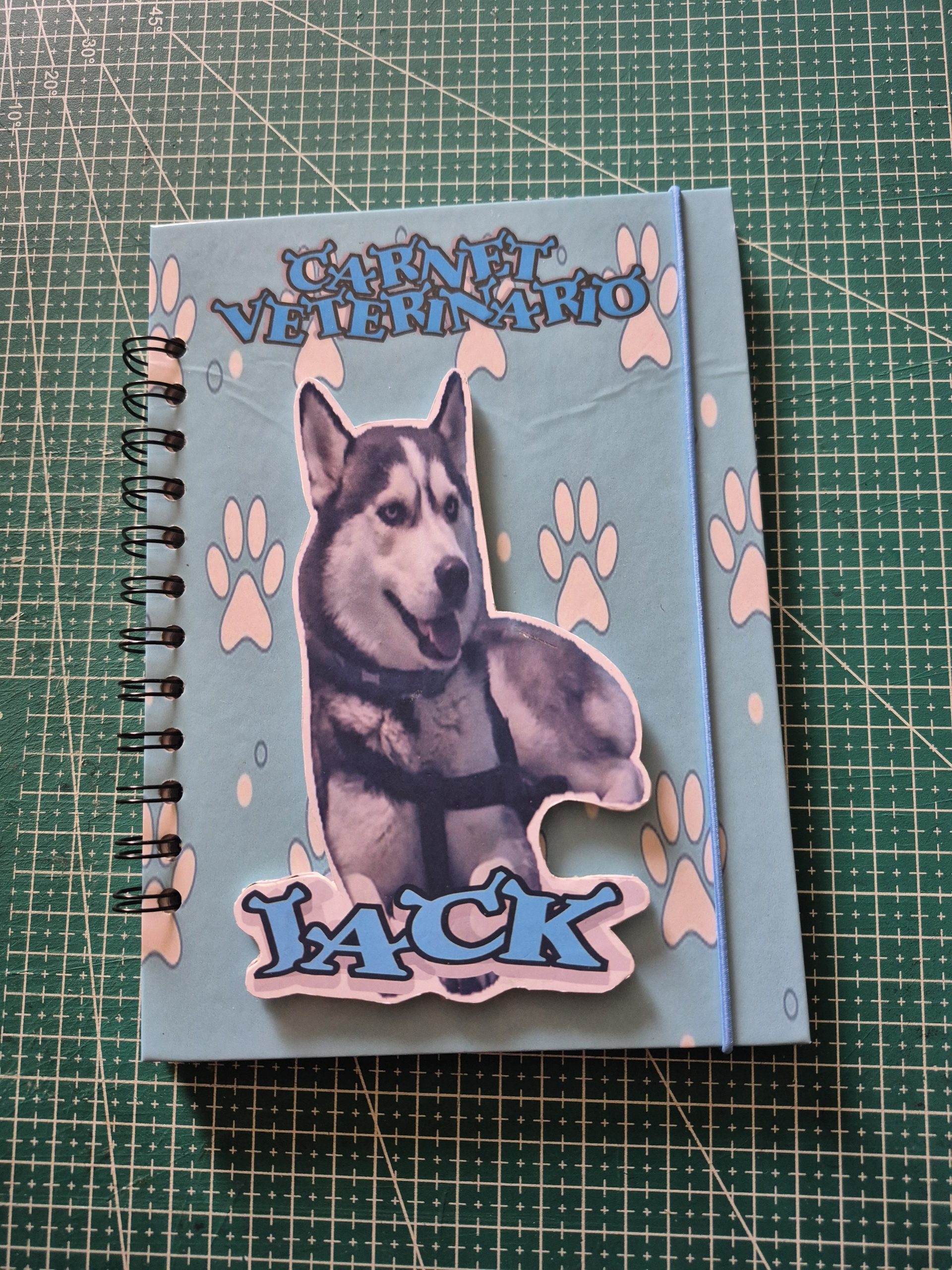 carnet control veterinario - Imagen 2