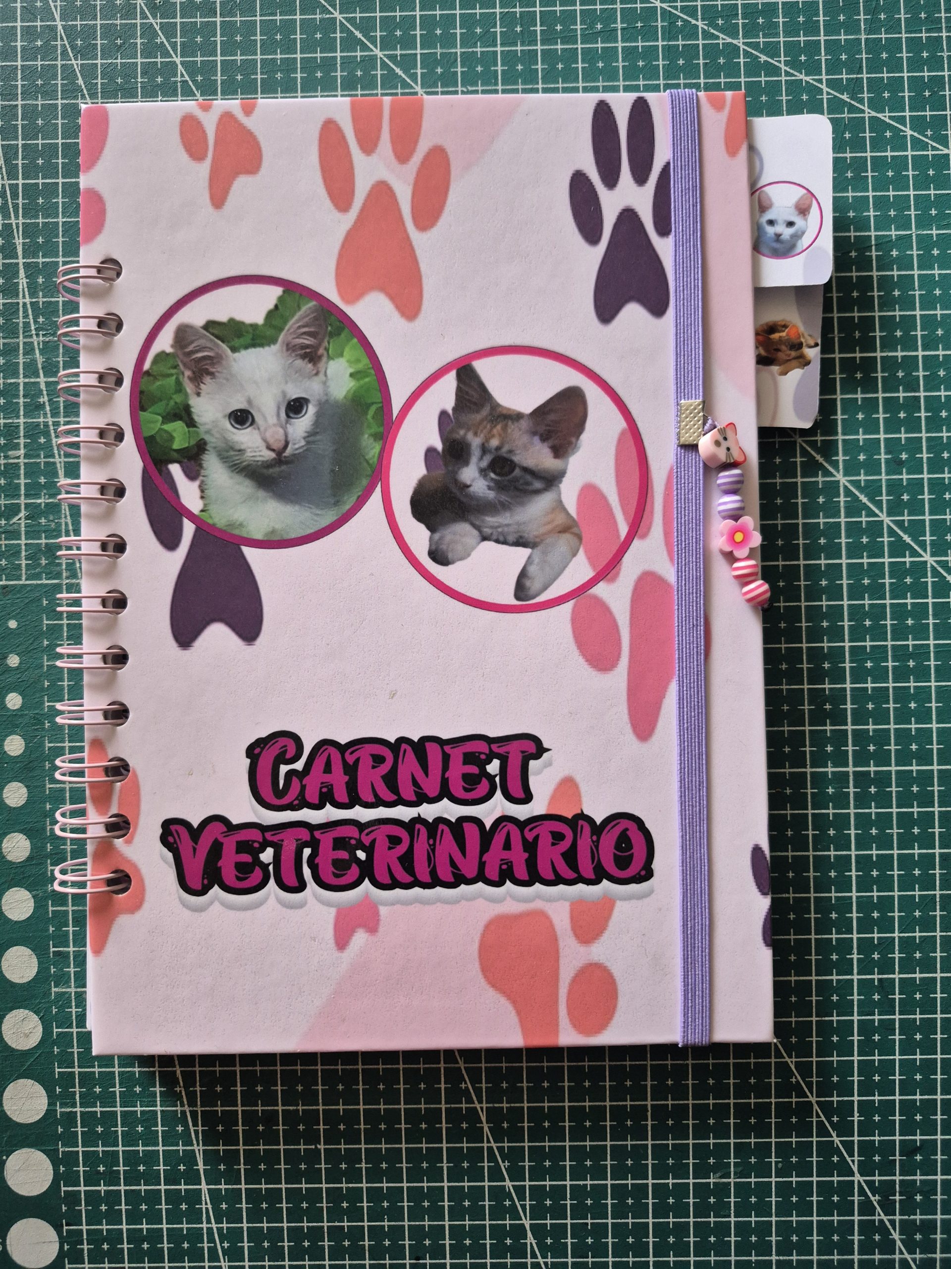 carnet control veterinario