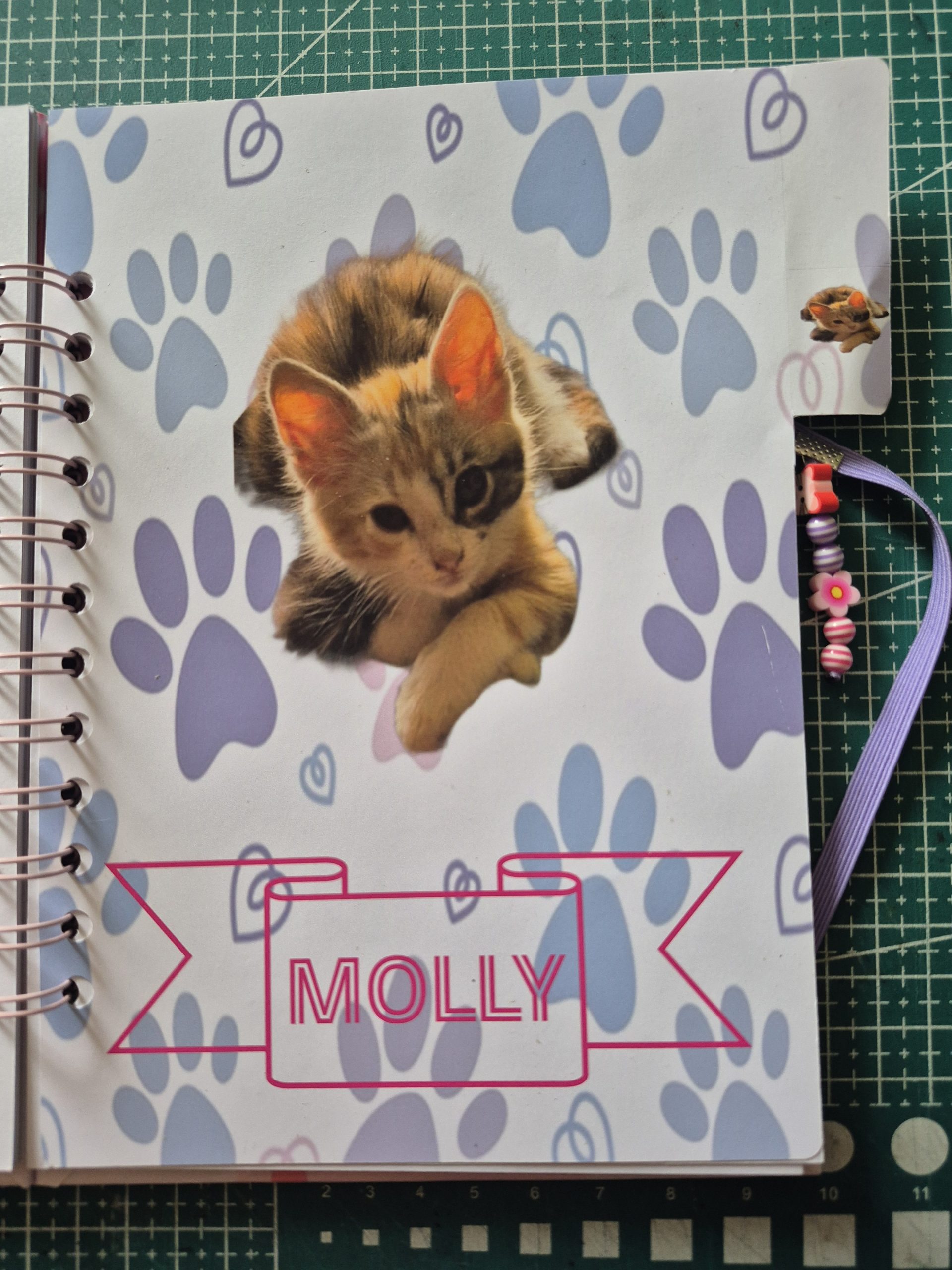 carnet control veterinario - Imagen 3