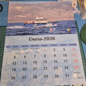 calendario de pared con taco